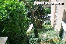 [P12] Vegetatie tipica in Monte Carlo-un cactus imens invelit in iedera » foto by liviadavidescu
 - 
<span class="allrVoted glyphicon glyphicon-heart hidden" id="av170064"></span>
<a class="m-l-10 hidden" id="sv170064" onclick="voting_Foto_DelVot(,170064,7768)" role="button">șterge vot <span class="glyphicon glyphicon-remove"></span></a>
<a id="v9170064" class=" c-red"  onclick="voting_Foto_SetVot(170064)" role="button"><span class="glyphicon glyphicon-heart-empty"></span> <b>LIKE</b> = Votează poza</a> <img class="hidden"  id="f170064W9" src="/imagini/loader.gif" border="0" /><span class="AjErrMes hidden" id="e170064ErM"></span>