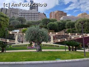 [P19] Parcul Princesse Antoinette » foto by irinad
 - 
<span class="allrVoted glyphicon glyphicon-heart hidden" id="av1104575"></span>
<a class="m-l-10 hidden" id="sv1104575" onclick="voting_Foto_DelVot(,1104575,7768)" role="button">șterge vot <span class="glyphicon glyphicon-remove"></span></a>
<a id="v91104575" class=" c-red"  onclick="voting_Foto_SetVot(1104575)" role="button"><span class="glyphicon glyphicon-heart-empty"></span> <b>LIKE</b> = Votează poza</a> <img class="hidden"  id="f1104575W9" src="/imagini/loader.gif" border="0" /><span class="AjErrMes hidden" id="e1104575ErM"></span>