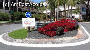[P05] Bolid din flori şi aniversara cifră 90 în intersecţie pe lângă stadionul Louis II » foto by irinad
 - 
<span class="allrVoted glyphicon glyphicon-heart hidden" id="av1104533"></span>
<a class="m-l-10 hidden" id="sv1104533" onclick="voting_Foto_DelVot(,1104533,7768)" role="button">șterge vot <span class="glyphicon glyphicon-remove"></span></a>
<a id="v91104533" class=" c-red"  onclick="voting_Foto_SetVot(1104533)" role="button"><span class="glyphicon glyphicon-heart-empty"></span> <b>LIKE</b> = Votează poza</a> <img class="hidden"  id="f1104533W9" src="/imagini/loader.gif" border="0" /><span class="AjErrMes hidden" id="e1104533ErM"></span>