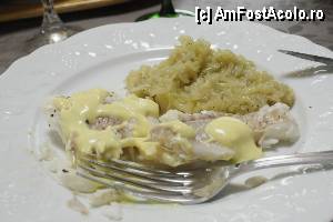 [P09] Apoi carne de peste cu branza topita » foto by dorgo
 - 
<span class="allrVoted glyphicon glyphicon-heart hidden" id="av357149"></span>
<a class="m-l-10 hidden" id="sv357149" onclick="voting_Foto_DelVot(,357149,7779)" role="button">șterge vot <span class="glyphicon glyphicon-remove"></span></a>
<a id="v9357149" class=" c-red"  onclick="voting_Foto_SetVot(357149)" role="button"><span class="glyphicon glyphicon-heart-empty"></span> <b>LIKE</b> = Votează poza</a> <img class="hidden"  id="f357149W9" src="/imagini/loader.gif" border="0" /><span class="AjErrMes hidden" id="e357149ErM"></span>