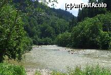 [P11] raul Basca, cel care trece prin fata cabanei » foto by recul*
 - 
<span class="allrVoted glyphicon glyphicon-heart hidden" id="av151159"></span>
<a class="m-l-10 hidden" id="sv151159" onclick="voting_Foto_DelVot(,151159,7780)" role="button">șterge vot <span class="glyphicon glyphicon-remove"></span></a>
<a id="v9151159" class=" c-red"  onclick="voting_Foto_SetVot(151159)" role="button"><span class="glyphicon glyphicon-heart-empty"></span> <b>LIKE</b> = Votează poza</a> <img class="hidden"  id="f151159W9" src="/imagini/loader.gif" border="0" /><span class="AjErrMes hidden" id="e151159ErM"></span>