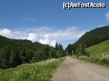 [P19] drumul spre cabana » foto by recul*
 - 
<span class="allrVoted glyphicon glyphicon-heart hidden" id="av151167"></span>
<a class="m-l-10 hidden" id="sv151167" onclick="voting_Foto_DelVot(,151167,7780)" role="button">șterge vot <span class="glyphicon glyphicon-remove"></span></a>
<a id="v9151167" class=" c-red"  onclick="voting_Foto_SetVot(151167)" role="button"><span class="glyphicon glyphicon-heart-empty"></span> <b>LIKE</b> = Votează poza</a> <img class="hidden"  id="f151167W9" src="/imagini/loader.gif" border="0" /><span class="AjErrMes hidden" id="e151167ErM"></span>