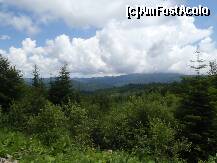 [P20] cel mai frumos loc din tara: Muntii Buzaului! » foto by recul*
 - 
<span class="allrVoted glyphicon glyphicon-heart hidden" id="av151168"></span>
<a class="m-l-10 hidden" id="sv151168" onclick="voting_Foto_DelVot(,151168,7780)" role="button">șterge vot <span class="glyphicon glyphicon-remove"></span></a>
<a id="v9151168" class=" c-red"  onclick="voting_Foto_SetVot(151168)" role="button"><span class="glyphicon glyphicon-heart-empty"></span> <b>LIKE</b> = Votează poza</a> <img class="hidden"  id="f151168W9" src="/imagini/loader.gif" border="0" /><span class="AjErrMes hidden" id="e151168ErM"></span>