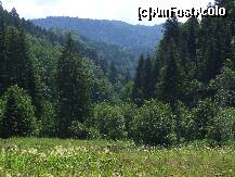 [P08] natura la ea acasa! » foto by recul*
 - 
<span class="allrVoted glyphicon glyphicon-heart hidden" id="av151156"></span>
<a class="m-l-10 hidden" id="sv151156" onclick="voting_Foto_DelVot(,151156,7780)" role="button">șterge vot <span class="glyphicon glyphicon-remove"></span></a>
<a id="v9151156" class=" c-red"  onclick="voting_Foto_SetVot(151156)" role="button"><span class="glyphicon glyphicon-heart-empty"></span> <b>LIKE</b> = Votează poza</a> <img class="hidden"  id="f151156W9" src="/imagini/loader.gif" border="0" /><span class="AjErrMes hidden" id="e151156ErM"></span>