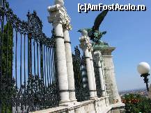 [P12] La intrarea in Palat... » foto by raoulp55
 - 
<span class="allrVoted glyphicon glyphicon-heart hidden" id="av151356"></span>
<a class="m-l-10 hidden" id="sv151356" onclick="voting_Foto_DelVot(,151356,7781)" role="button">șterge vot <span class="glyphicon glyphicon-remove"></span></a>
<a id="v9151356" class=" c-red"  onclick="voting_Foto_SetVot(151356)" role="button"><span class="glyphicon glyphicon-heart-empty"></span> <b>LIKE</b> = Votează poza</a> <img class="hidden"  id="f151356W9" src="/imagini/loader.gif" border="0" /><span class="AjErrMes hidden" id="e151356ErM"></span>