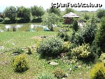 [P02]  -- <small>// FĂRĂ DESCRIERE</small> » foto by Getica*
 - 
<span class="allrVoted glyphicon glyphicon-heart hidden" id="av233606"></span>
<a class="m-l-10 hidden" id="sv233606" onclick="voting_Foto_DelVot(,233606,7790)" role="button">șterge vot <span class="glyphicon glyphicon-remove"></span></a>
<a id="v9233606" class=" c-red"  onclick="voting_Foto_SetVot(233606)" role="button"><span class="glyphicon glyphicon-heart-empty"></span> <b>LIKE</b> = Votează poza</a> <img class="hidden"  id="f233606W9" src="/imagini/loader.gif" border="0" /><span class="AjErrMes hidden" id="e233606ErM"></span>