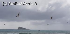 [P13] Plajele Benidormului - admirând zborul pescăruşilor pe plaja Poniente » foto by nicole33
 - 
<span class="allrVoted glyphicon glyphicon-heart hidden" id="av1181981"></span>
<a class="m-l-10 hidden" id="sv1181981" onclick="voting_Foto_DelVot(,1181981,7803)" role="button">șterge vot <span class="glyphicon glyphicon-remove"></span></a>
<a id="v91181981" class=" c-red"  onclick="voting_Foto_SetVot(1181981)" role="button"><span class="glyphicon glyphicon-heart-empty"></span> <b>LIKE</b> = Votează poza</a> <img class="hidden"  id="f1181981W9" src="/imagini/loader.gif" border="0" /><span class="AjErrMes hidden" id="e1181981ErM"></span>