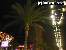 [P01] Lumini pe faleza Benidorm-ului » foto by Kyandra
 - 
<span class="allrVoted glyphicon glyphicon-heart hidden" id="av177370"></span>
<a class="m-l-10 hidden" id="sv177370" onclick="voting_Foto_DelVot(,177370,7803)" role="button">șterge vot <span class="glyphicon glyphicon-remove"></span></a>
<a id="v9177370" class=" c-red"  onclick="voting_Foto_SetVot(177370)" role="button"><span class="glyphicon glyphicon-heart-empty"></span> <b>LIKE</b> = Votează poza</a> <img class="hidden"  id="f177370W9" src="/imagini/loader.gif" border="0" /><span class="AjErrMes hidden" id="e177370ErM"></span>