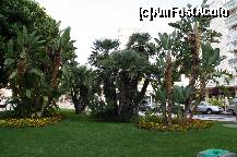 [P29] Benidorm- Plaza de la Hispanidad - bun gust si curatenie exemplara! » foto by Alina53
 - 
<span class="allrVoted glyphicon glyphicon-heart hidden" id="av152980"></span>
<a class="m-l-10 hidden" id="sv152980" onclick="voting_Foto_DelVot(,152980,7803)" role="button">șterge vot <span class="glyphicon glyphicon-remove"></span></a>
<a id="v9152980" class=" c-red"  onclick="voting_Foto_SetVot(152980)" role="button"><span class="glyphicon glyphicon-heart-empty"></span> <b>LIKE</b> = Votează poza</a> <img class="hidden"  id="f152980W9" src="/imagini/loader.gif" border="0" /><span class="AjErrMes hidden" id="e152980ErM"></span>