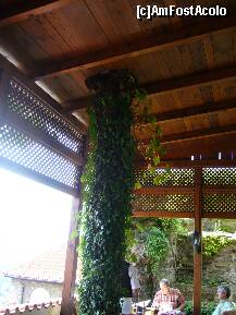 [P16] Republica Ceha -  Castelul Hnevin, terasa restaurantului » foto by magdalena
 - 
<span class="allrVoted glyphicon glyphicon-heart hidden" id="av153710"></span>
<a class="m-l-10 hidden" id="sv153710" onclick="voting_Foto_DelVot(,153710,7823)" role="button">șterge vot <span class="glyphicon glyphicon-remove"></span></a>
<a id="v9153710" class=" c-red"  onclick="voting_Foto_SetVot(153710)" role="button"><span class="glyphicon glyphicon-heart-empty"></span> <b>LIKE</b> = Votează poza</a> <img class="hidden"  id="f153710W9" src="/imagini/loader.gif" border="0" /><span class="AjErrMes hidden" id="e153710ErM"></span>