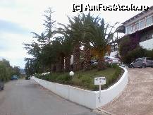 [P05] Spre receptie » foto by RODIANA
 - 
<span class="allrVoted glyphicon glyphicon-heart hidden" id="av216751"></span>
<a class="m-l-10 hidden" id="sv216751" onclick="voting_Foto_DelVot(,216751,7829)" role="button">șterge vot <span class="glyphicon glyphicon-remove"></span></a>
<a id="v9216751" class=" c-red"  onclick="voting_Foto_SetVot(216751)" role="button"><span class="glyphicon glyphicon-heart-empty"></span> <b>LIKE</b> = Votează poza</a> <img class="hidden"  id="f216751W9" src="/imagini/loader.gif" border="0" /><span class="AjErrMes hidden" id="e216751ErM"></span>