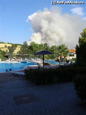 [P04] incendiu in padure » foto by dianamea
 - 
<span class="allrVoted glyphicon glyphicon-heart hidden" id="av630258"></span>
<a class="m-l-10 hidden" id="sv630258" onclick="voting_Foto_DelVot(,630258,7829)" role="button">șterge vot <span class="glyphicon glyphicon-remove"></span></a>
<a id="v9630258" class=" c-red"  onclick="voting_Foto_SetVot(630258)" role="button"><span class="glyphicon glyphicon-heart-empty"></span> <b>LIKE</b> = Votează poza</a> <img class="hidden"  id="f630258W9" src="/imagini/loader.gif" border="0" /><span class="AjErrMes hidden" id="e630258ErM"></span>