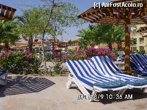 [P02]  -- <small>// FĂRĂ DESCRIERE</small> » foto by crinutza09*
 - 
<span class="allrVoted glyphicon glyphicon-heart hidden" id="av356278"></span>
<a class="m-l-10 hidden" id="sv356278" onclick="voting_Foto_DelVot(,356278,7832)" role="button">șterge vot <span class="glyphicon glyphicon-remove"></span></a>
<a id="v9356278" class=" c-red"  onclick="voting_Foto_SetVot(356278)" role="button"><span class="glyphicon glyphicon-heart-empty"></span> <b>LIKE</b> = Votează poza</a> <img class="hidden"  id="f356278W9" src="/imagini/loader.gif" border="0" /><span class="AjErrMes hidden" id="e356278ErM"></span>