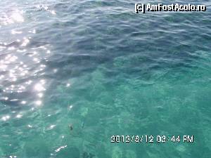 [P08] marea: X » foto by crinutza09*
 - 
<span class="allrVoted glyphicon glyphicon-heart hidden" id="av356286"></span>
<a class="m-l-10 hidden" id="sv356286" onclick="voting_Foto_DelVot(,356286,7832)" role="button">șterge vot <span class="glyphicon glyphicon-remove"></span></a>
<a id="v9356286" class=" c-red"  onclick="voting_Foto_SetVot(356286)" role="button"><span class="glyphicon glyphicon-heart-empty"></span> <b>LIKE</b> = Votează poza</a> <img class="hidden"  id="f356286W9" src="/imagini/loader.gif" border="0" /><span class="AjErrMes hidden" id="e356286ErM"></span>