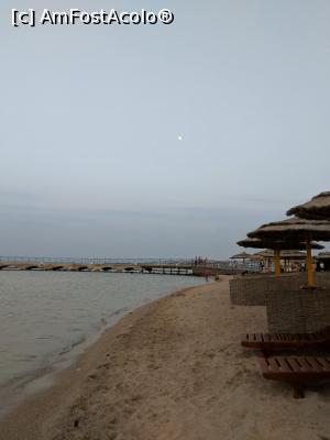 [P23] Plajă seara » foto by Ccucu
 - 
<span class="allrVoted glyphicon glyphicon-heart hidden" id="av1014001"></span>
<a class="m-l-10 hidden" id="sv1014001" onclick="voting_Foto_DelVot(,1014001,7832)" role="button">șterge vot <span class="glyphicon glyphicon-remove"></span></a>
<a id="v91014001" class=" c-red"  onclick="voting_Foto_SetVot(1014001)" role="button"><span class="glyphicon glyphicon-heart-empty"></span> <b>LIKE</b> = Votează poza</a> <img class="hidden"  id="f1014001W9" src="/imagini/loader.gif" border="0" /><span class="AjErrMes hidden" id="e1014001ErM"></span>