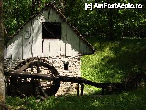 [P16] Dârsta din Românești-Nistorești (anul 1928). Conform Dex: dârstă = piuă primitivă acționată de o apă curgătoare, în care se băteau dimia, postavul și alte țesături de casă.  » foto by Floryn81
 - 
<span class="allrVoted glyphicon glyphicon-heart hidden" id="av482172"></span>
<a class="m-l-10 hidden" id="sv482172" onclick="voting_Foto_DelVot(,482172,7833)" role="button">șterge vot <span class="glyphicon glyphicon-remove"></span></a>
<a id="v9482172" class=" c-red"  onclick="voting_Foto_SetVot(482172)" role="button"><span class="glyphicon glyphicon-heart-empty"></span> <b>LIKE</b> = Votează poza</a> <img class="hidden"  id="f482172W9" src="/imagini/loader.gif" border="0" /><span class="AjErrMes hidden" id="e482172ErM"></span>