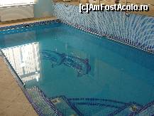 [P12] Piscina interioara cu cei 2 delfinasi dragalasi » foto by dananecula*
 - 
<span class="allrVoted glyphicon glyphicon-heart hidden" id="av154195"></span>
<a class="m-l-10 hidden" id="sv154195" onclick="voting_Foto_DelVot(,154195,7835)" role="button">șterge vot <span class="glyphicon glyphicon-remove"></span></a>
<a id="v9154195" class=" c-red"  onclick="voting_Foto_SetVot(154195)" role="button"><span class="glyphicon glyphicon-heart-empty"></span> <b>LIKE</b> = Votează poza</a> <img class="hidden"  id="f154195W9" src="/imagini/loader.gif" border="0" /><span class="AjErrMes hidden" id="e154195ErM"></span>