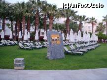 [P17]  -- <small>// FĂRĂ DESCRIERE</small> » foto by Veioza
 - 
<span class="allrVoted glyphicon glyphicon-heart hidden" id="av206646"></span>
<a class="m-l-10 hidden" id="sv206646" onclick="voting_Foto_DelVot(,206646,7837)" role="button">șterge vot <span class="glyphicon glyphicon-remove"></span></a>
<a id="v9206646" class=" c-red"  onclick="voting_Foto_SetVot(206646)" role="button"><span class="glyphicon glyphicon-heart-empty"></span> <b>LIKE</b> = Votează poza</a> <img class="hidden"  id="f206646W9" src="/imagini/loader.gif" border="0" /><span class="AjErrMes hidden" id="e206646ErM"></span>