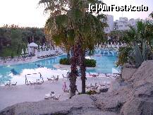 [P18]  -- <small>// FĂRĂ DESCRIERE</small> » foto by Veioza
 - 
<span class="allrVoted glyphicon glyphicon-heart hidden" id="av206647"></span>
<a class="m-l-10 hidden" id="sv206647" onclick="voting_Foto_DelVot(,206647,7837)" role="button">șterge vot <span class="glyphicon glyphicon-remove"></span></a>
<a id="v9206647" class=" c-red"  onclick="voting_Foto_SetVot(206647)" role="button"><span class="glyphicon glyphicon-heart-empty"></span> <b>LIKE</b> = Votează poza</a> <img class="hidden"  id="f206647W9" src="/imagini/loader.gif" border="0" /><span class="AjErrMes hidden" id="e206647ErM"></span>