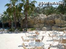 [P19]  -- <small>// FĂRĂ DESCRIERE</small> » foto by Veioza
 - 
<span class="allrVoted glyphicon glyphicon-heart hidden" id="av206648"></span>
<a class="m-l-10 hidden" id="sv206648" onclick="voting_Foto_DelVot(,206648,7837)" role="button">șterge vot <span class="glyphicon glyphicon-remove"></span></a>
<a id="v9206648" class=" c-red"  onclick="voting_Foto_SetVot(206648)" role="button"><span class="glyphicon glyphicon-heart-empty"></span> <b>LIKE</b> = Votează poza</a> <img class="hidden"  id="f206648W9" src="/imagini/loader.gif" border="0" /><span class="AjErrMes hidden" id="e206648ErM"></span>