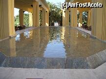 [P02]  -- <small>// FĂRĂ DESCRIERE</small> » foto by Veioza
 - 
<span class="allrVoted glyphicon glyphicon-heart hidden" id="av206631"></span>
<a class="m-l-10 hidden" id="sv206631" onclick="voting_Foto_DelVot(,206631,7837)" role="button">șterge vot <span class="glyphicon glyphicon-remove"></span></a>
<a id="v9206631" class=" c-red"  onclick="voting_Foto_SetVot(206631)" role="button"><span class="glyphicon glyphicon-heart-empty"></span> <b>LIKE</b> = Votează poza</a> <img class="hidden"  id="f206631W9" src="/imagini/loader.gif" border="0" /><span class="AjErrMes hidden" id="e206631ErM"></span>