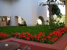 [P03]  -- <small>// FĂRĂ DESCRIERE</small> » foto by Veioza
 - 
<span class="allrVoted glyphicon glyphicon-heart hidden" id="av206632"></span>
<a class="m-l-10 hidden" id="sv206632" onclick="voting_Foto_DelVot(,206632,7837)" role="button">șterge vot <span class="glyphicon glyphicon-remove"></span></a>
<a id="v9206632" class=" c-red"  onclick="voting_Foto_SetVot(206632)" role="button"><span class="glyphicon glyphicon-heart-empty"></span> <b>LIKE</b> = Votează poza</a> <img class="hidden"  id="f206632W9" src="/imagini/loader.gif" border="0" /><span class="AjErrMes hidden" id="e206632ErM"></span>