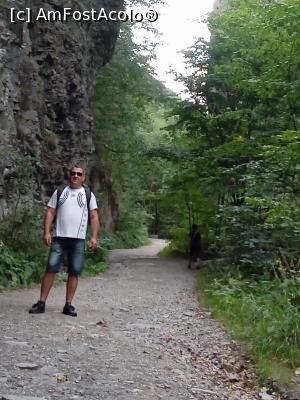 [P17] Drumul pana la cascada, foarte frumos. » foto by cecilia a.
 - 
<span class="allrVoted glyphicon glyphicon-heart hidden" id="av1188014"></span>
<a class="m-l-10 hidden" id="sv1188014" onclick="voting_Foto_DelVot(,1188014,7859)" role="button">șterge vot <span class="glyphicon glyphicon-remove"></span></a>
<a id="v91188014" class=" c-red"  onclick="voting_Foto_SetVot(1188014)" role="button"><span class="glyphicon glyphicon-heart-empty"></span> <b>LIKE</b> = Votează poza</a> <img class="hidden"  id="f1188014W9" src="/imagini/loader.gif" border="0" /><span class="AjErrMes hidden" id="e1188014ErM"></span>