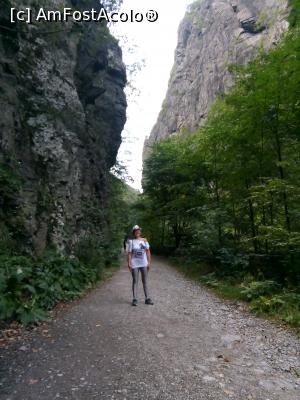 [P18] Cheile Lotrisorului. » foto by cecilia a.
 - 
<span class="allrVoted glyphicon glyphicon-heart hidden" id="av1188015"></span>
<a class="m-l-10 hidden" id="sv1188015" onclick="voting_Foto_DelVot(,1188015,7859)" role="button">șterge vot <span class="glyphicon glyphicon-remove"></span></a>
<a id="v91188015" class=" c-red"  onclick="voting_Foto_SetVot(1188015)" role="button"><span class="glyphicon glyphicon-heart-empty"></span> <b>LIKE</b> = Votează poza</a> <img class="hidden"  id="f1188015W9" src="/imagini/loader.gif" border="0" /><span class="AjErrMes hidden" id="e1188015ErM"></span>