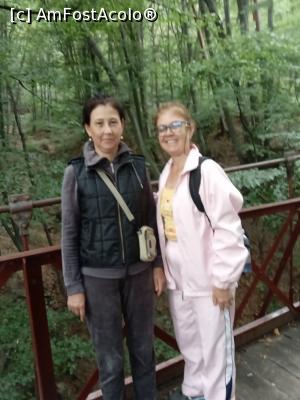 [P40] Aleea prin padure. » foto by cecilia a.
 - 
<span class="allrVoted glyphicon glyphicon-heart hidden" id="av1188037"></span>
<a class="m-l-10 hidden" id="sv1188037" onclick="voting_Foto_DelVot(,1188037,7859)" role="button">șterge vot <span class="glyphicon glyphicon-remove"></span></a>
<a id="v91188037" class=" c-red"  onclick="voting_Foto_SetVot(1188037)" role="button"><span class="glyphicon glyphicon-heart-empty"></span> <b>LIKE</b> = Votează poza</a> <img class="hidden"  id="f1188037W9" src="/imagini/loader.gif" border="0" /><span class="AjErrMes hidden" id="e1188037ErM"></span>