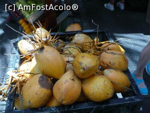 [P25] nuca de cocos » foto by Yolanda
 - 
<span class="allrVoted glyphicon glyphicon-heart hidden" id="av963572"></span>
<a class="m-l-10 hidden" id="sv963572" onclick="voting_Foto_DelVot(,963572,7864)" role="button">șterge vot <span class="glyphicon glyphicon-remove"></span></a>
<a id="v9963572" class=" c-red"  onclick="voting_Foto_SetVot(963572)" role="button"><span class="glyphicon glyphicon-heart-empty"></span> <b>LIKE</b> = Votează poza</a> <img class="hidden"  id="f963572W9" src="/imagini/loader.gif" border="0" /><span class="AjErrMes hidden" id="e963572ErM"></span>