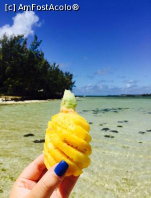 [P03] Cel mai gustos ananas » foto by Alex S
 - 
<span class="allrVoted glyphicon glyphicon-heart hidden" id="av959600"></span>
<a class="m-l-10 hidden" id="sv959600" onclick="voting_Foto_DelVot(,959600,7864)" role="button">șterge vot <span class="glyphicon glyphicon-remove"></span></a>
<a id="v9959600" class=" c-red"  onclick="voting_Foto_SetVot(959600)" role="button"><span class="glyphicon glyphicon-heart-empty"></span> <b>LIKE</b> = Votează poza</a> <img class="hidden"  id="f959600W9" src="/imagini/loader.gif" border="0" /><span class="AjErrMes hidden" id="e959600ErM"></span>