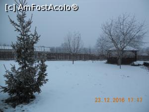 [P16] curtea plină de zăpadă » foto by zlatna
 - 
<span class="allrVoted glyphicon glyphicon-heart hidden" id="av829299"></span>
<a class="m-l-10 hidden" id="sv829299" onclick="voting_Foto_DelVot(,829299,7878)" role="button">șterge vot <span class="glyphicon glyphicon-remove"></span></a>
<a id="v9829299" class=" c-red"  onclick="voting_Foto_SetVot(829299)" role="button"><span class="glyphicon glyphicon-heart-empty"></span> <b>LIKE</b> = Votează poza</a> <img class="hidden"  id="f829299W9" src="/imagini/loader.gif" border="0" /><span class="AjErrMes hidden" id="e829299ErM"></span>
