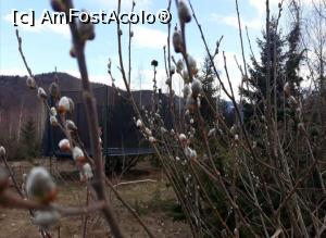 [P28] M&acirc;țe &icirc;n Plaiul Lisei » foto by Mioritik
 - 
<span class="allrVoted glyphicon glyphicon-heart hidden" id="av1264324"></span>
<a class="m-l-10 hidden" id="sv1264324" onclick="voting_Foto_DelVot(,1264324,7879)" role="button">șterge vot <span class="glyphicon glyphicon-remove"></span></a>
<a id="v91264324" class=" c-red"  onclick="voting_Foto_SetVot(1264324)" role="button"><span class="glyphicon glyphicon-heart-empty"></span> <b>LIKE</b> = Votează poza</a> <img class="hidden"  id="f1264324W9" src="/imagini/loader.gif" border="0" /><span class="AjErrMes hidden" id="e1264324ErM"></span>