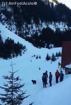 [P04] Noi (sau ei) la Cabana Valea S&acirc;mbetei » foto by Mioritik
 - 
<span class="allrVoted glyphicon glyphicon-heart hidden" id="av1264300"></span>
<a class="m-l-10 hidden" id="sv1264300" onclick="voting_Foto_DelVot(,1264300,7879)" role="button">șterge vot <span class="glyphicon glyphicon-remove"></span></a>
<a id="v91264300" class=" c-red"  onclick="voting_Foto_SetVot(1264300)" role="button"><span class="glyphicon glyphicon-heart-empty"></span> <b>LIKE</b> = Votează poza</a> <img class="hidden"  id="f1264300W9" src="/imagini/loader.gif" border="0" /><span class="AjErrMes hidden" id="e1264300ErM"></span>