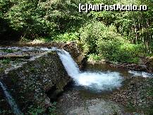 [P01] raul Sambata » foto by ceasornicarul
 - 
<span class="allrVoted glyphicon glyphicon-heart hidden" id="av156484"></span>
<a class="m-l-10 hidden" id="sv156484" onclick="voting_Foto_DelVot(,156484,7879)" role="button">șterge vot <span class="glyphicon glyphicon-remove"></span></a>
<a id="v9156484" class=" c-red"  onclick="voting_Foto_SetVot(156484)" role="button"><span class="glyphicon glyphicon-heart-empty"></span> <b>LIKE</b> = Votează poza</a> <img class="hidden"  id="f156484W9" src="/imagini/loader.gif" border="0" /><span class="AjErrMes hidden" id="e156484ErM"></span>