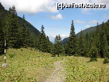 [P10]  -- <small>// FĂRĂ DESCRIERE</small> » foto by ceasornicarul
 - 
<span class="allrVoted glyphicon glyphicon-heart hidden" id="av156493"></span>
<a class="m-l-10 hidden" id="sv156493" onclick="voting_Foto_DelVot(,156493,7879)" role="button">șterge vot <span class="glyphicon glyphicon-remove"></span></a>
<a id="v9156493" class=" c-red"  onclick="voting_Foto_SetVot(156493)" role="button"><span class="glyphicon glyphicon-heart-empty"></span> <b>LIKE</b> = Votează poza</a> <img class="hidden"  id="f156493W9" src="/imagini/loader.gif" border="0" /><span class="AjErrMes hidden" id="e156493ErM"></span>