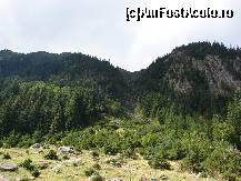 [P11] in partea de sus a stancii se afla chilia parintelui Arsenie Boca » foto by ceasornicarul
 - 
<span class="allrVoted glyphicon glyphicon-heart hidden" id="av156494"></span>
<a class="m-l-10 hidden" id="sv156494" onclick="voting_Foto_DelVot(,156494,7879)" role="button">șterge vot <span class="glyphicon glyphicon-remove"></span></a>
<a id="v9156494" class=" c-red"  onclick="voting_Foto_SetVot(156494)" role="button"><span class="glyphicon glyphicon-heart-empty"></span> <b>LIKE</b> = Votează poza</a> <img class="hidden"  id="f156494W9" src="/imagini/loader.gif" border="0" /><span class="AjErrMes hidden" id="e156494ErM"></span>