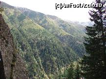 [P17]  -- <small>// FĂRĂ DESCRIERE</small> » foto by ceasornicarul
 - 
<span class="allrVoted glyphicon glyphicon-heart hidden" id="av156500"></span>
<a class="m-l-10 hidden" id="sv156500" onclick="voting_Foto_DelVot(,156500,7879)" role="button">șterge vot <span class="glyphicon glyphicon-remove"></span></a>
<a id="v9156500" class=" c-red"  onclick="voting_Foto_SetVot(156500)" role="button"><span class="glyphicon glyphicon-heart-empty"></span> <b>LIKE</b> = Votează poza</a> <img class="hidden"  id="f156500W9" src="/imagini/loader.gif" border="0" /><span class="AjErrMes hidden" id="e156500ErM"></span>