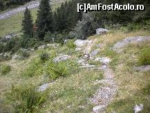 [P22] aceasta poteca pe care initial o urcasem destul de greu la intoarcere am parcurs-o fara probleme, eram fericiti... » foto by ceasornicarul
 - 
<span class="allrVoted glyphicon glyphicon-heart hidden" id="av156505"></span>
<a class="m-l-10 hidden" id="sv156505" onclick="voting_Foto_DelVot(,156505,7879)" role="button">șterge vot <span class="glyphicon glyphicon-remove"></span></a>
<a id="v9156505" class=" c-red"  onclick="voting_Foto_SetVot(156505)" role="button"><span class="glyphicon glyphicon-heart-empty"></span> <b>LIKE</b> = Votează poza</a> <img class="hidden"  id="f156505W9" src="/imagini/loader.gif" border="0" /><span class="AjErrMes hidden" id="e156505ErM"></span>