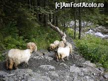 [P24]  -- <small>// FĂRĂ DESCRIERE</small> » foto by ceasornicarul
 - 
<span class="allrVoted glyphicon glyphicon-heart hidden" id="av156507"></span>
<a class="m-l-10 hidden" id="sv156507" onclick="voting_Foto_DelVot(,156507,7879)" role="button">șterge vot <span class="glyphicon glyphicon-remove"></span></a>
<a id="v9156507" class=" c-red"  onclick="voting_Foto_SetVot(156507)" role="button"><span class="glyphicon glyphicon-heart-empty"></span> <b>LIKE</b> = Votează poza</a> <img class="hidden"  id="f156507W9" src="/imagini/loader.gif" border="0" /><span class="AjErrMes hidden" id="e156507ErM"></span>