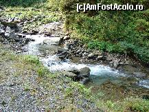 [P03] raul Sambata » foto by ceasornicarul
 - 
<span class="allrVoted glyphicon glyphicon-heart hidden" id="av156486"></span>
<a class="m-l-10 hidden" id="sv156486" onclick="voting_Foto_DelVot(,156486,7879)" role="button">șterge vot <span class="glyphicon glyphicon-remove"></span></a>
<a id="v9156486" class=" c-red"  onclick="voting_Foto_SetVot(156486)" role="button"><span class="glyphicon glyphicon-heart-empty"></span> <b>LIKE</b> = Votează poza</a> <img class="hidden"  id="f156486W9" src="/imagini/loader.gif" border="0" /><span class="AjErrMes hidden" id="e156486ErM"></span>