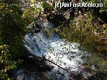 [P04] valtoarea apei » foto by ceasornicarul
 - 
<span class="allrVoted glyphicon glyphicon-heart hidden" id="av156487"></span>
<a class="m-l-10 hidden" id="sv156487" onclick="voting_Foto_DelVot(,156487,7879)" role="button">șterge vot <span class="glyphicon glyphicon-remove"></span></a>
<a id="v9156487" class=" c-red"  onclick="voting_Foto_SetVot(156487)" role="button"><span class="glyphicon glyphicon-heart-empty"></span> <b>LIKE</b> = Votează poza</a> <img class="hidden"  id="f156487W9" src="/imagini/loader.gif" border="0" /><span class="AjErrMes hidden" id="e156487ErM"></span>