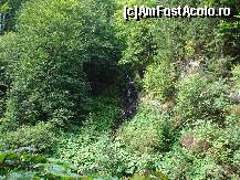 [P05] una din cascadele care se formau pe versanti » foto by ceasornicarul
 - 
<span class="allrVoted glyphicon glyphicon-heart hidden" id="av156488"></span>
<a class="m-l-10 hidden" id="sv156488" onclick="voting_Foto_DelVot(,156488,7879)" role="button">șterge vot <span class="glyphicon glyphicon-remove"></span></a>
<a id="v9156488" class=" c-red"  onclick="voting_Foto_SetVot(156488)" role="button"><span class="glyphicon glyphicon-heart-empty"></span> <b>LIKE</b> = Votează poza</a> <img class="hidden"  id="f156488W9" src="/imagini/loader.gif" border="0" /><span class="AjErrMes hidden" id="e156488ErM"></span>