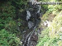 [P06] cascada » foto by ceasornicarul
 - 
<span class="allrVoted glyphicon glyphicon-heart hidden" id="av156489"></span>
<a class="m-l-10 hidden" id="sv156489" onclick="voting_Foto_DelVot(,156489,7879)" role="button">șterge vot <span class="glyphicon glyphicon-remove"></span></a>
<a id="v9156489" class=" c-red"  onclick="voting_Foto_SetVot(156489)" role="button"><span class="glyphicon glyphicon-heart-empty"></span> <b>LIKE</b> = Votează poza</a> <img class="hidden"  id="f156489W9" src="/imagini/loader.gif" border="0" /><span class="AjErrMes hidden" id="e156489ErM"></span>