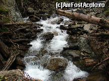 [P07]  -- <small>// FĂRĂ DESCRIERE</small> » foto by ceasornicarul
 - 
<span class="allrVoted glyphicon glyphicon-heart hidden" id="av156490"></span>
<a class="m-l-10 hidden" id="sv156490" onclick="voting_Foto_DelVot(,156490,7879)" role="button">șterge vot <span class="glyphicon glyphicon-remove"></span></a>
<a id="v9156490" class=" c-red"  onclick="voting_Foto_SetVot(156490)" role="button"><span class="glyphicon glyphicon-heart-empty"></span> <b>LIKE</b> = Votează poza</a> <img class="hidden"  id="f156490W9" src="/imagini/loader.gif" border="0" /><span class="AjErrMes hidden" id="e156490ErM"></span>