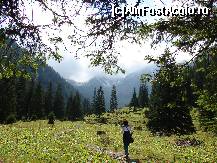 [P08] superbele poienite » foto by ceasornicarul
 - 
<span class="allrVoted glyphicon glyphicon-heart hidden" id="av156491"></span>
<a class="m-l-10 hidden" id="sv156491" onclick="voting_Foto_DelVot(,156491,7879)" role="button">șterge vot <span class="glyphicon glyphicon-remove"></span></a>
<a id="v9156491" class=" c-red"  onclick="voting_Foto_SetVot(156491)" role="button"><span class="glyphicon glyphicon-heart-empty"></span> <b>LIKE</b> = Votează poza</a> <img class="hidden"  id="f156491W9" src="/imagini/loader.gif" border="0" /><span class="AjErrMes hidden" id="e156491ErM"></span>