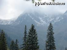 [P09] frumusetea muntelui » foto by ceasornicarul
 - 
<span class="allrVoted glyphicon glyphicon-heart hidden" id="av156492"></span>
<a class="m-l-10 hidden" id="sv156492" onclick="voting_Foto_DelVot(,156492,7879)" role="button">șterge vot <span class="glyphicon glyphicon-remove"></span></a>
<a id="v9156492" class=" c-red"  onclick="voting_Foto_SetVot(156492)" role="button"><span class="glyphicon glyphicon-heart-empty"></span> <b>LIKE</b> = Votează poza</a> <img class="hidden"  id="f156492W9" src="/imagini/loader.gif" border="0" /><span class="AjErrMes hidden" id="e156492ErM"></span>