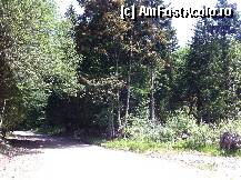 [P11] drmul care duce la pastravarie » foto by guesswhoo*
 - 
<span class="allrVoted glyphicon glyphicon-heart hidden" id="av240056"></span>
<a class="m-l-10 hidden" id="sv240056" onclick="voting_Foto_DelVot(,240056,7879)" role="button">șterge vot <span class="glyphicon glyphicon-remove"></span></a>
<a id="v9240056" class=" c-red"  onclick="voting_Foto_SetVot(240056)" role="button"><span class="glyphicon glyphicon-heart-empty"></span> <b>LIKE</b> = Votează poza</a> <img class="hidden"  id="f240056W9" src="/imagini/loader.gif" border="0" /><span class="AjErrMes hidden" id="e240056ErM"></span>