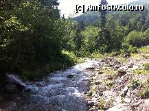 [P13] raul Sambata » foto by guesswhoo*
 - 
<span class="allrVoted glyphicon glyphicon-heart hidden" id="av240058"></span>
<a class="m-l-10 hidden" id="sv240058" onclick="voting_Foto_DelVot(,240058,7879)" role="button">șterge vot <span class="glyphicon glyphicon-remove"></span></a>
<a id="v9240058" class=" c-red"  onclick="voting_Foto_SetVot(240058)" role="button"><span class="glyphicon glyphicon-heart-empty"></span> <b>LIKE</b> = Votează poza</a> <img class="hidden"  id="f240058W9" src="/imagini/loader.gif" border="0" /><span class="AjErrMes hidden" id="e240058ErM"></span>