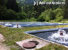 [P19] pastravaria Sambata de Sus » foto by guesswhoo*
 - 
<span class="allrVoted glyphicon glyphicon-heart hidden" id="av240064"></span>
<a class="m-l-10 hidden" id="sv240064" onclick="voting_Foto_DelVot(,240064,7879)" role="button">șterge vot <span class="glyphicon glyphicon-remove"></span></a>
<a id="v9240064" class=" c-red"  onclick="voting_Foto_SetVot(240064)" role="button"><span class="glyphicon glyphicon-heart-empty"></span> <b>LIKE</b> = Votează poza</a> <img class="hidden"  id="f240064W9" src="/imagini/loader.gif" border="0" /><span class="AjErrMes hidden" id="e240064ErM"></span>